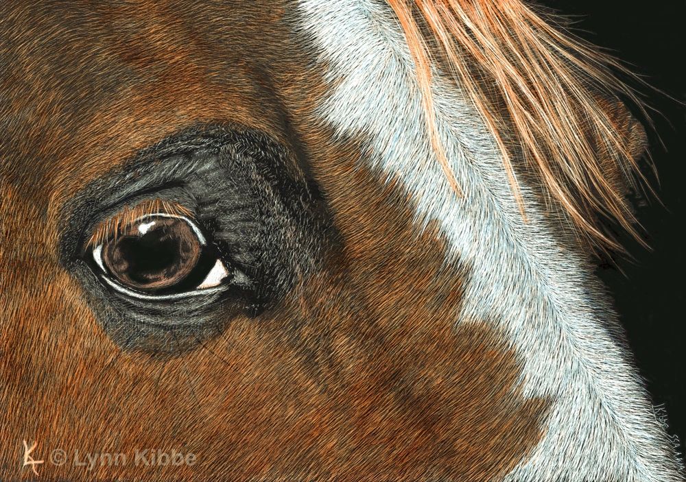 Window Into Grace 72 1000w